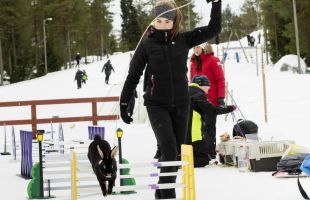 Kaniner på vinterkarneval och Kulturfondens förbundspaket