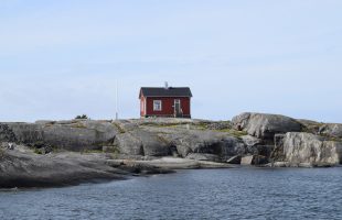 Nyländska bidrag att söka i september