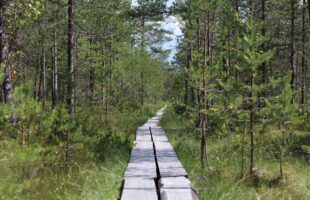 Vi fortsätter att stödja skådespelare och konstnärer