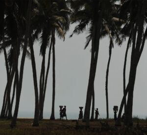 På bilden syns silhuetten av några människor som vandrar mellan palmer på en strand. Himlen bakom dem är blågrå och övegår i havets litet mörkare blågrå färg.