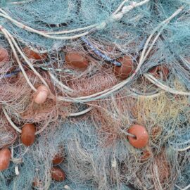 En bild på fiskenät.