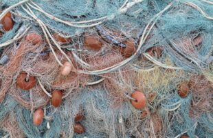 Skärgård och jordbruk i Nyland får 100 000 euro