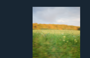 Vad hände 2025? Vad hände 2025?